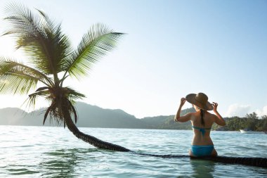 Rear View Of A Woman Sitting On The Palm Tree Trunk Over The Ocean Water clipart