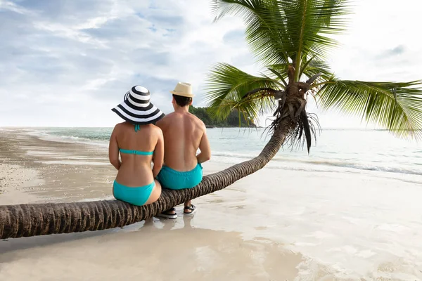 Rear View Young Couple Wearing Hats Sitting Tree Trunk Beach — Stock Photo, Image