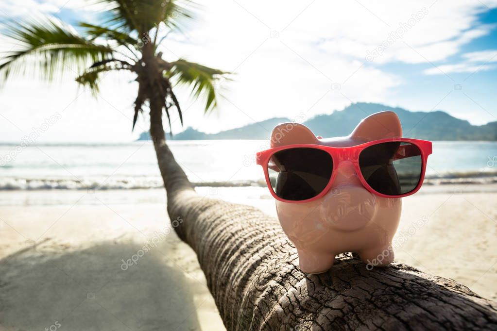 Pink Piggybank With Sunglasses On Crooked Palm Tree Trunk Against Blue Sky