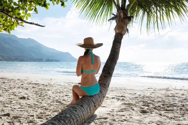 Вид Сзади Женщину Синем Бикини Сидящую Пальмовом Стволе Пляже — стоковое фото