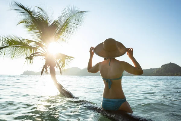 海水の上のヤシの木の幹に座っている女性の背面図 — ストック写真