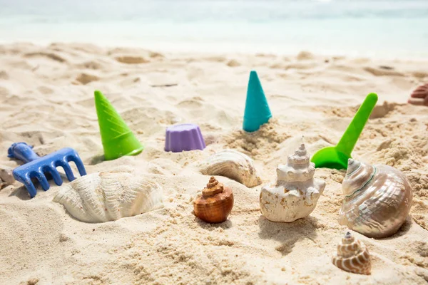 Plastleksaker Och Snäckskal Sand Stranden — Stockfoto