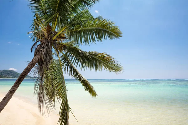 Vista Panorâmica Turtle Bay Beach Mahe Island Seychelles — Fotografia de Stock