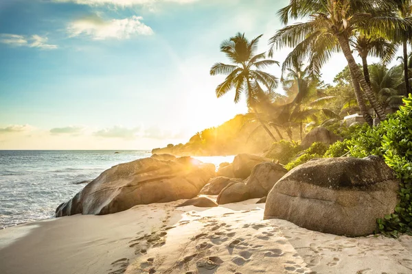 Сонячне Світло Над Пальмами Пляжі Анс Острів Мае Сейшельські Острови — стокове фото