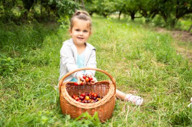 Kız Sepete Taze Aldı Kiraz Koyarak