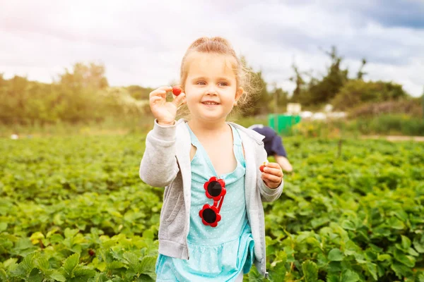 Schattig Meisje Plukken Aardbeien Tuin — Stockfoto