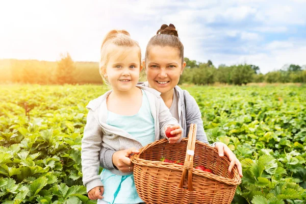 Meisje Plukken Aardbeien Samen Met Haar Moeder Tuin — Stockfoto