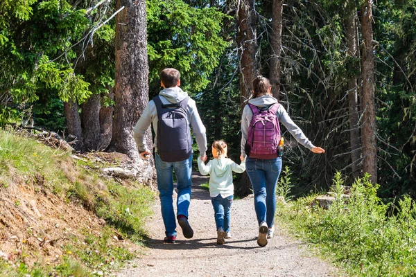 Family Running Forest Mountains Summer — Stock Photo, Image