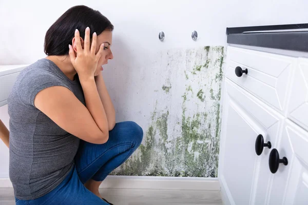 Vista Laterale Una Giovane Donna Che Guarda Muffa Sulla Parete — Foto Stock