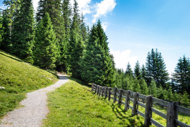 Avusturya'da Alplerde Dağlarda Yürüyüş Parkuru