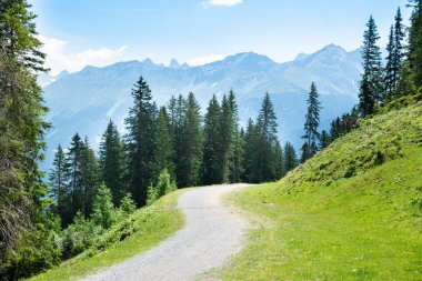 Avusturya'da Alplerde Dağlarda Yürüyüş Parkuru