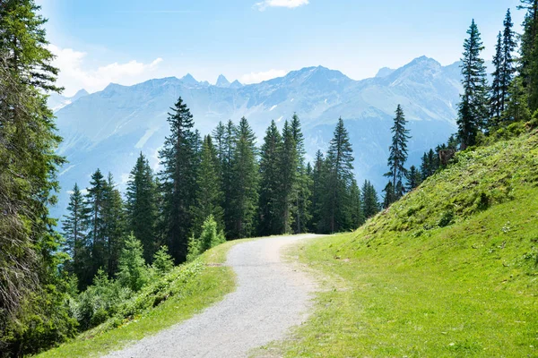 Avusturya'da Alplerde Dağlarda Yürüyüş Parkuru