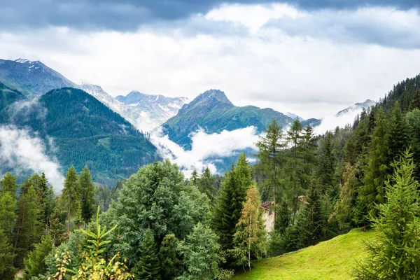 Alpine Berge Und Tannen Österreich Alpen — Stockfoto