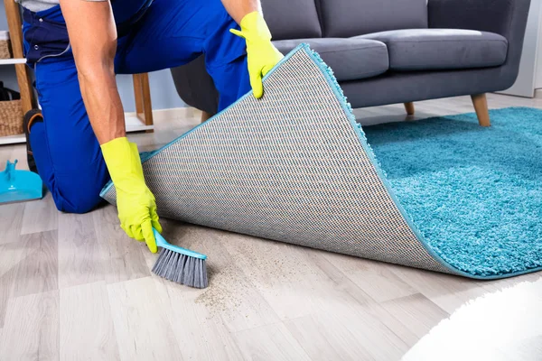 Low section View Of A Lazy Janitor Sweeping Dirt Under The Carpet