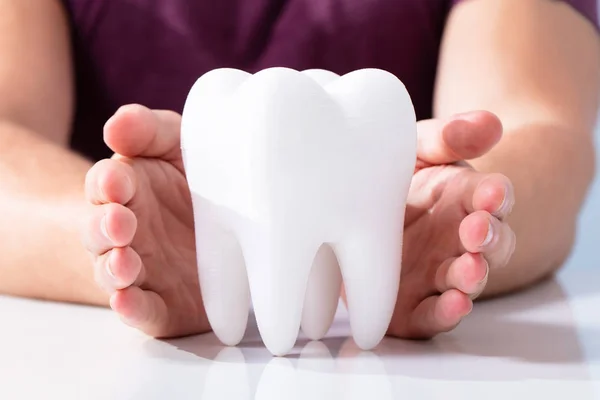 Person Hands Protecting Healthy Hygienic White Tooth Reflective White Table — Stock Photo, Image