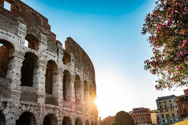 Экстерьер Колизея Рассвете Риме Италия — стоковое фото