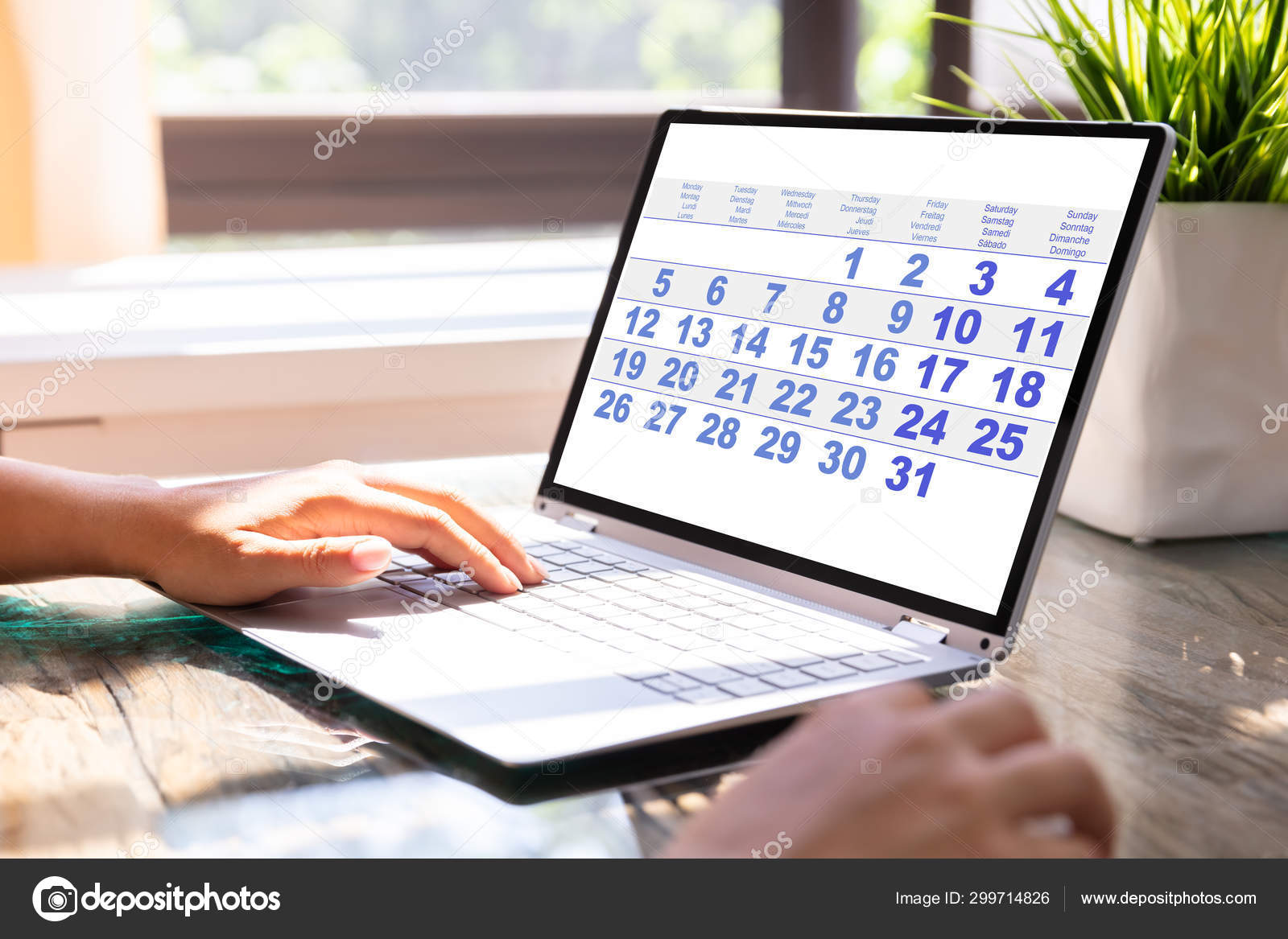 Close Business Person Looking Calendar Laptop Computer — Stock Photo