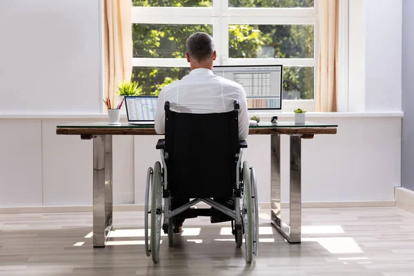 Tekerlekli Sandalyede Oturan Ofiste Bilgisayar Kullanan Engelli Adamı — Stok fotoğraf