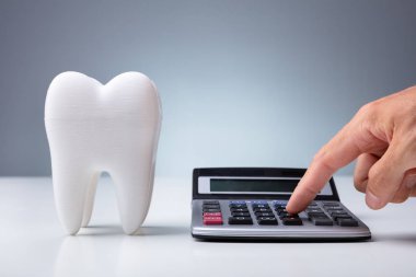 Person Calculating Expenses Near Tooth Model Over White Desk clipart
