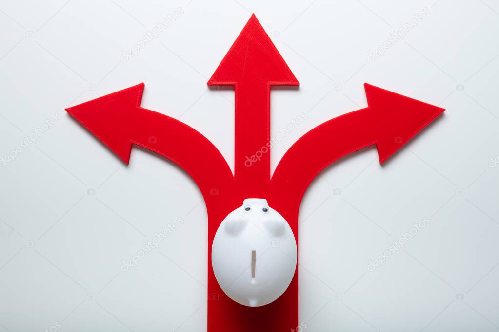 Elevated View Of Piggybank Over Red Arrow Signs Showing Various Direction Against Isolated