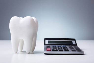 Calculator Near Model Tooth Over White Desk Against Gray Wall clipart