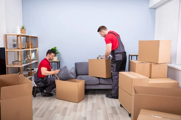 Deux Jeunes Déménageurs Uniforme Cueillette Mettre Des Produits Dans Les — Photo