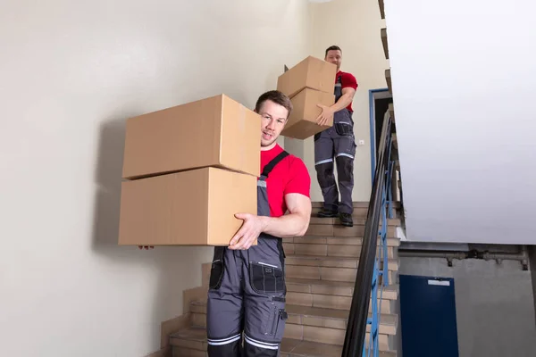 Portrait Young Male Movers Uniform Carrying Cardboard Boxes Walking Downward — Stok Foto
