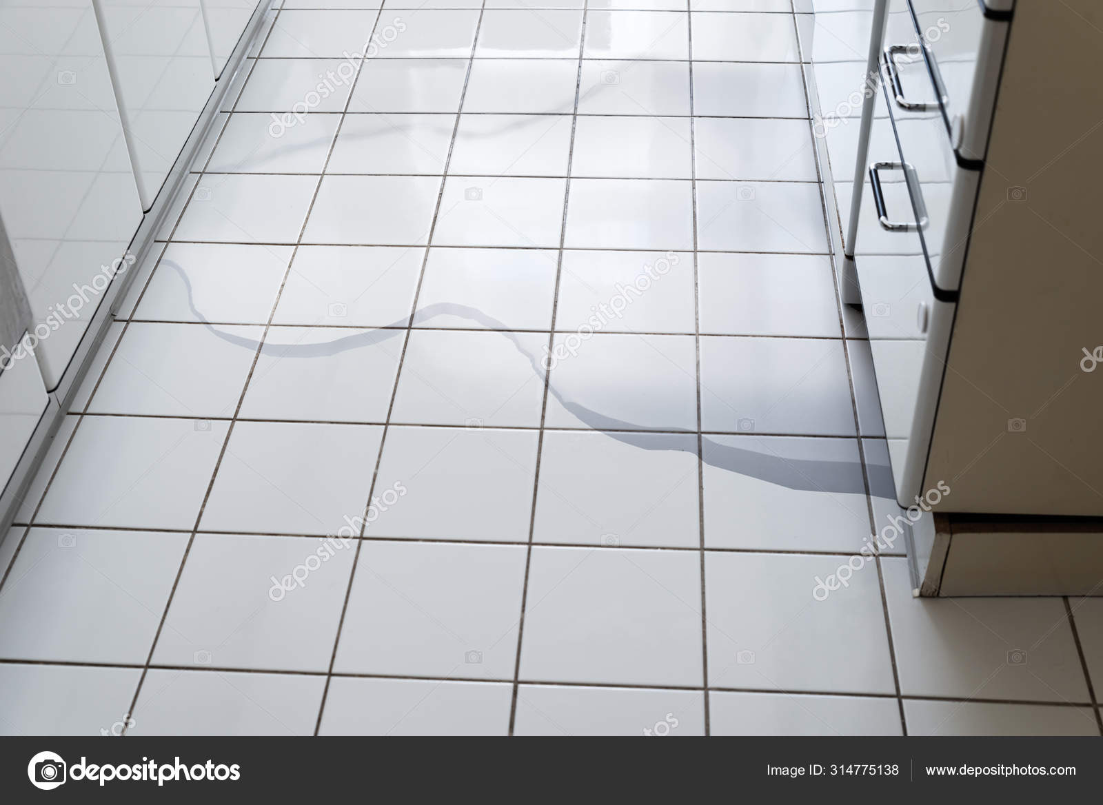 Close Photo Flooded Floor Kitchen Water Leak Broken Dishwasher