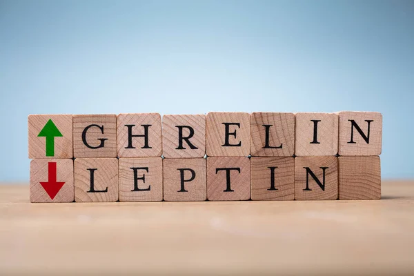 Ghrelin Leptin Hormonen Controleren Hongerniveaus — Stockfoto