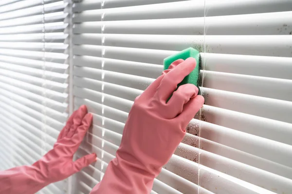 Person Professionally Cleaning Window Blinds Dirt — Stock Photo, Image