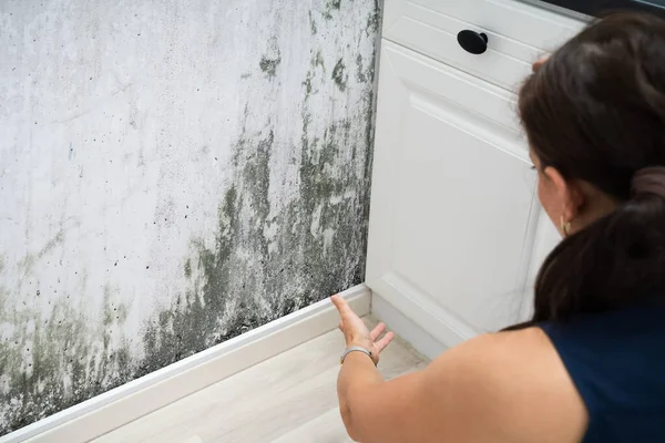 Mulher Olhando Para Danos Parede Molde Casa — Fotografia de Stock