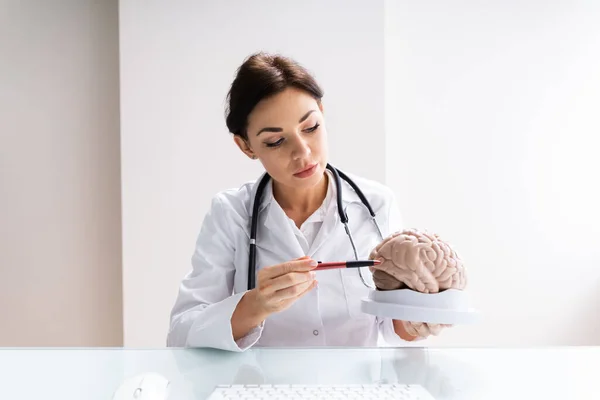 Beyin Cerrahı Veya Nörolog Hastaya Açıklama — Stok fotoğraf