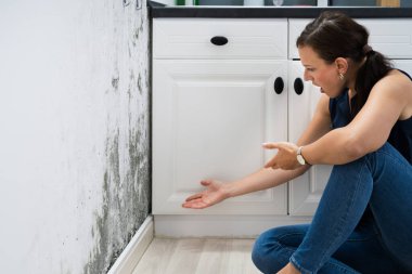 Woman Looking At Mold Wall Damage At Home clipart
