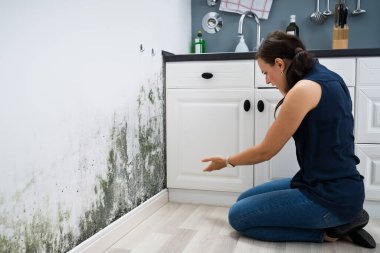 Woman Looking At Mold Wall Damage At Home clipart