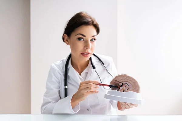 Cirurgião Cerebral Médico Neurologista Explicando Paciente — Fotografia de Stock