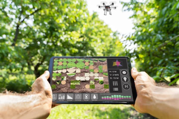 Smart Farming Digital Technology Agriculture App Auf Dem Bauernhof — Stockfoto