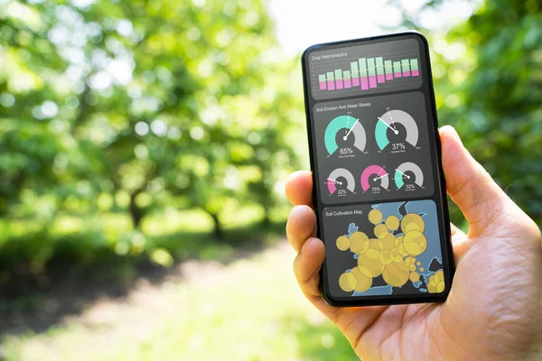 Smart Farming Digital Technology Agriculture App At Farm