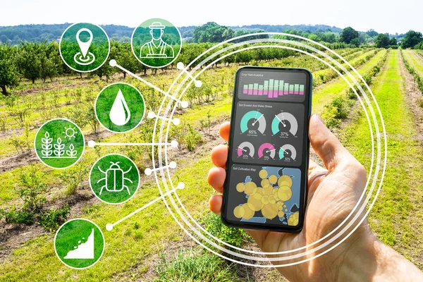 Smart Farming Digitale Technologie Landbouw App Boerderij — Stockfoto