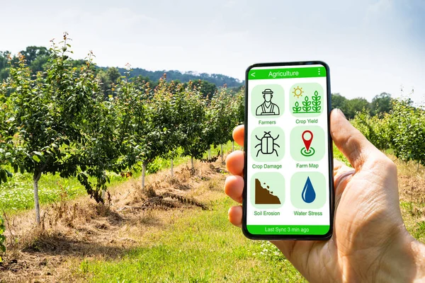 Smart Farming Digital Technology Agriculture App Auf Dem Bauernhof — Stockfoto