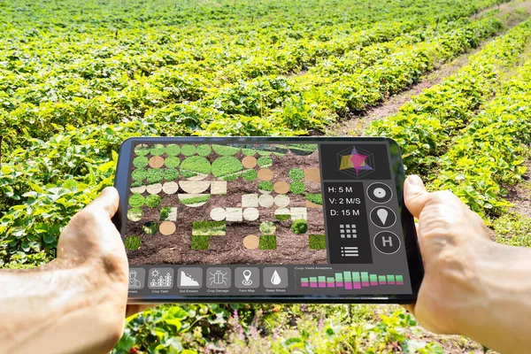 Agricultura Inteligente Tecnología Digital Agricultura Aplicación Granja — Foto de Stock