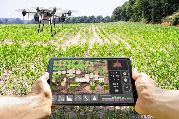 Modern Smart Farming Agriculture Technology Farm Field — Stock Fotó