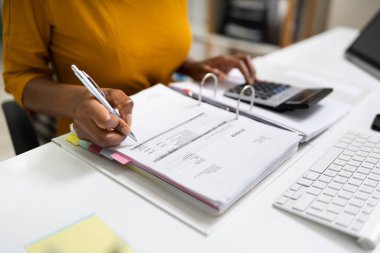 Ofiste Muhasebe yapan Afrikalı Amerikalı İş Muhasebecisi