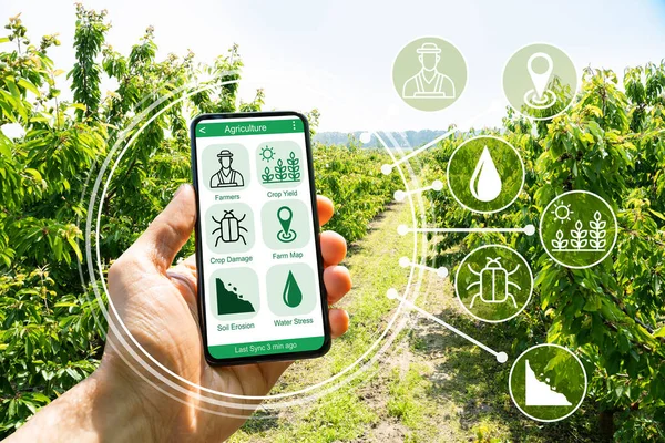Agricultura Inteligente Aplicação Agricultura Tecnologia Digital Fazenda — Fotografia de Stock
