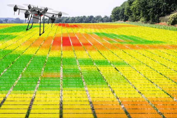 Agriculture Industry Farming Technology And Digital Crops Monitoring