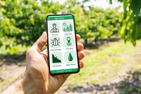 Smart Farming Digital Technology Agriculture App Auf Dem Bauernhof — Stockfoto