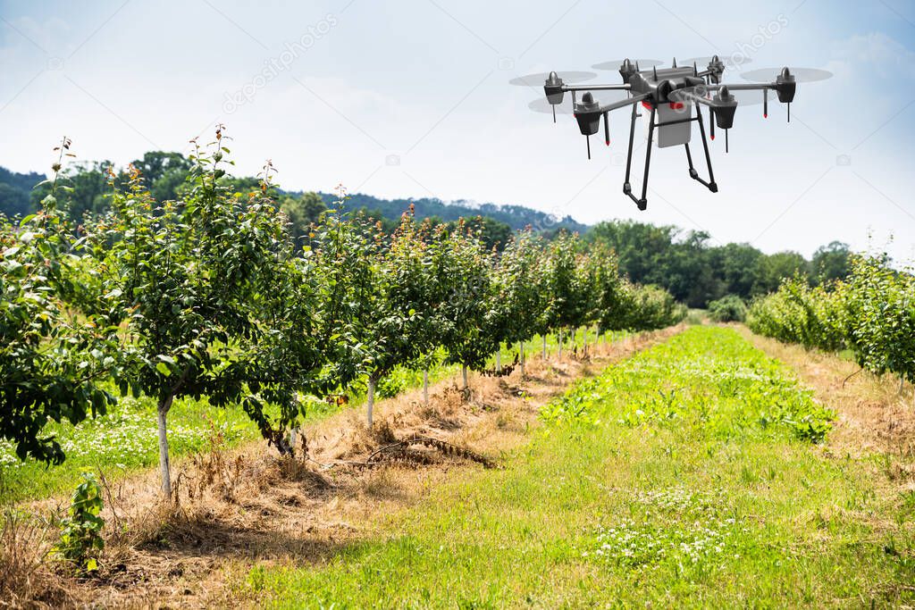 Agriculture Industry Farming Technology At Plant Field Or Farm