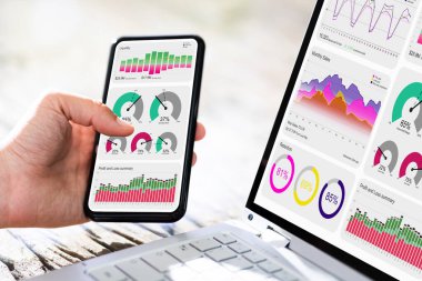 Analitik sonuçlar cep telefonunda. Sayısal Veri Analisti