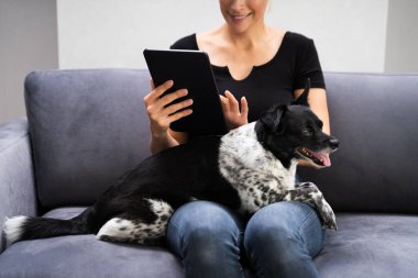 Evde Evcil Köpekle Tablet Kullanan Kadın