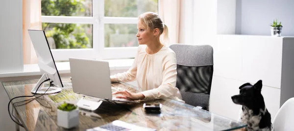 Confident Business Woman With Dog At Computer Desk