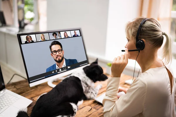 Video Conference Webinar Call With Dog. Online Work Meeting